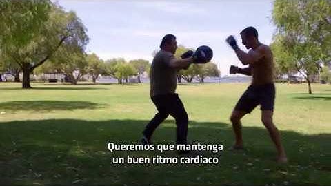 UFC 221 Embedded: Vlog Series - Episodio 2