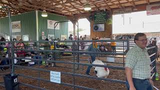 2023 Meigs County Fair Livestock Sale pt 3