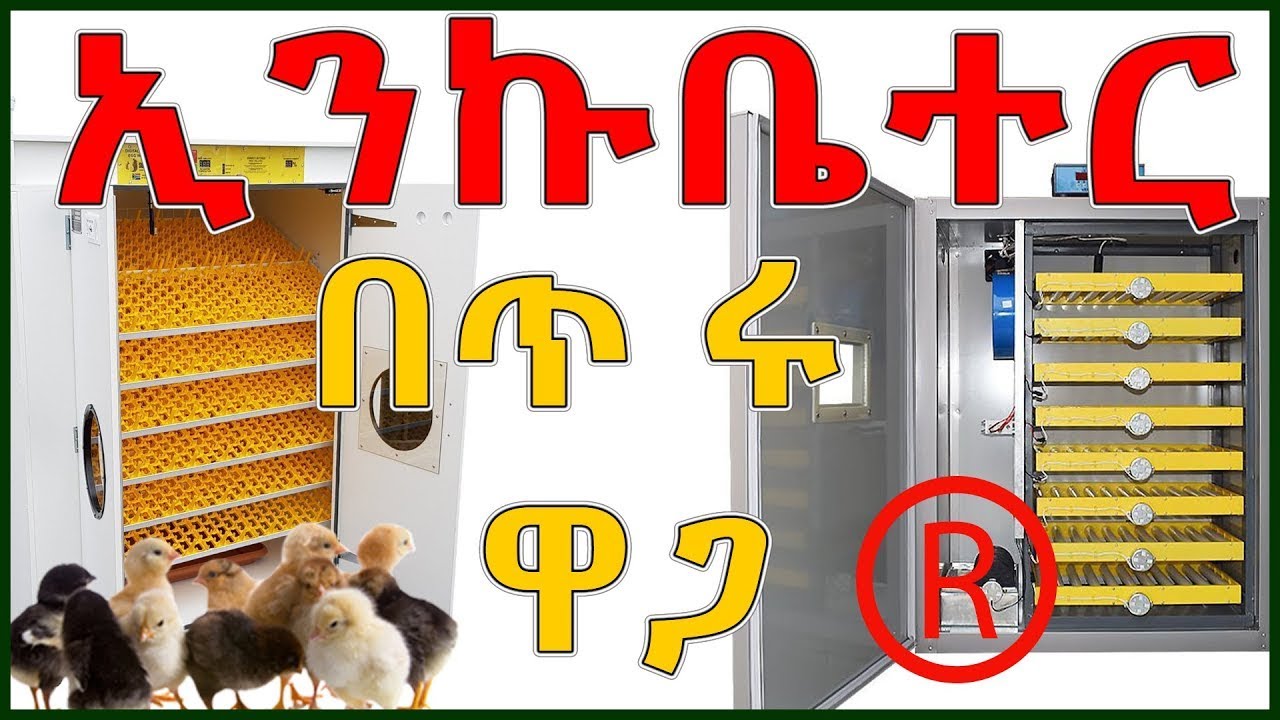 #incubator  እንቁላል ጫጩት መፈልፈያ በምርጥ ዋጋ  @Ermi the Ethiopia ​