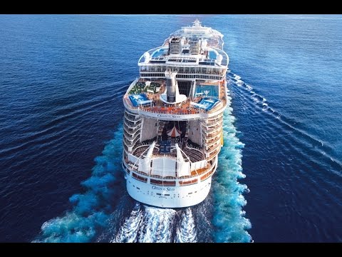 Video: Fotogaléria interiérov Oasis of the Seas