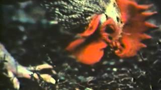 Famous Images of France by Anthony Loder Wealth