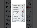 English Vocabulary #englishteacher #foryou #englishvocabulary