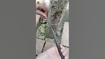 cách buộc dây thép chặt