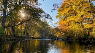 Lord, I Hope This Day Is Good -- Don Williams cover by Patrick Barber