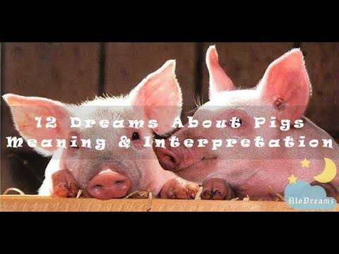 Video: Dream Interpretation: Why The Pig Is Dreaming