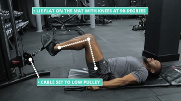 How To Do Cable Reverse Crunch | Exercise Demo