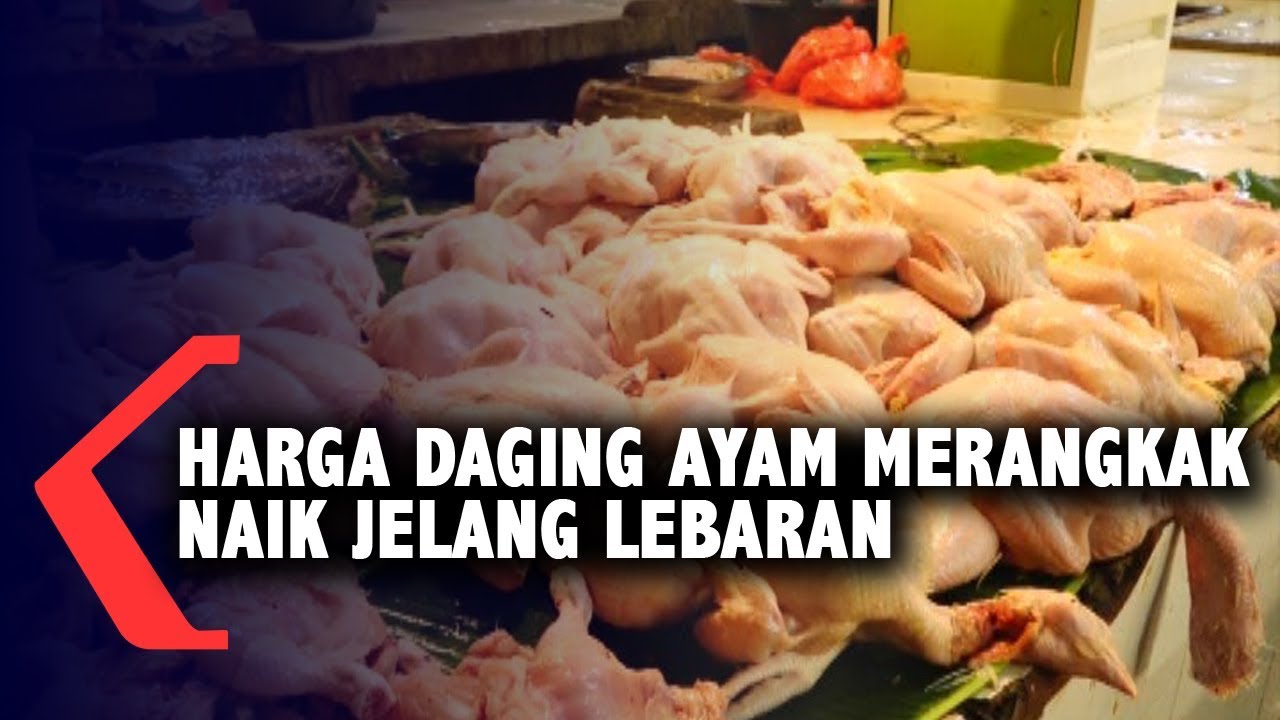 Harga Daging Ayam Merangkak Naik Jelang Idul Fitri 