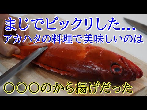 アカハタのさばき方と握り 煮つけ 唐揚げの作り方 Youtube