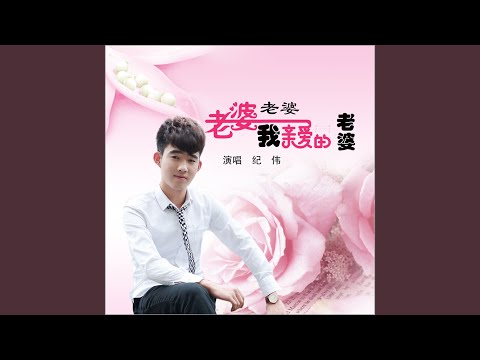 老婆老婆我亲爱的老婆 (Dj何鹏版)