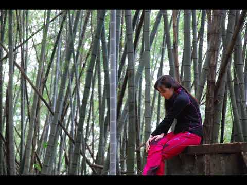 2017.12.30 台灣用走的最美  瑞太古道.1314觀景台.海鼠山