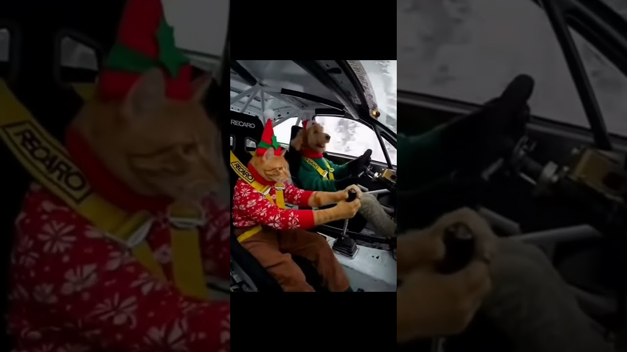 Perfect sync no words needed, Absolute dream team 🐱🔥 