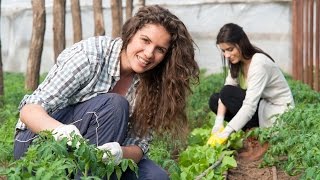 Obama’s Lesbian Farmer Invasion Thwarted By Rush Limbaugh