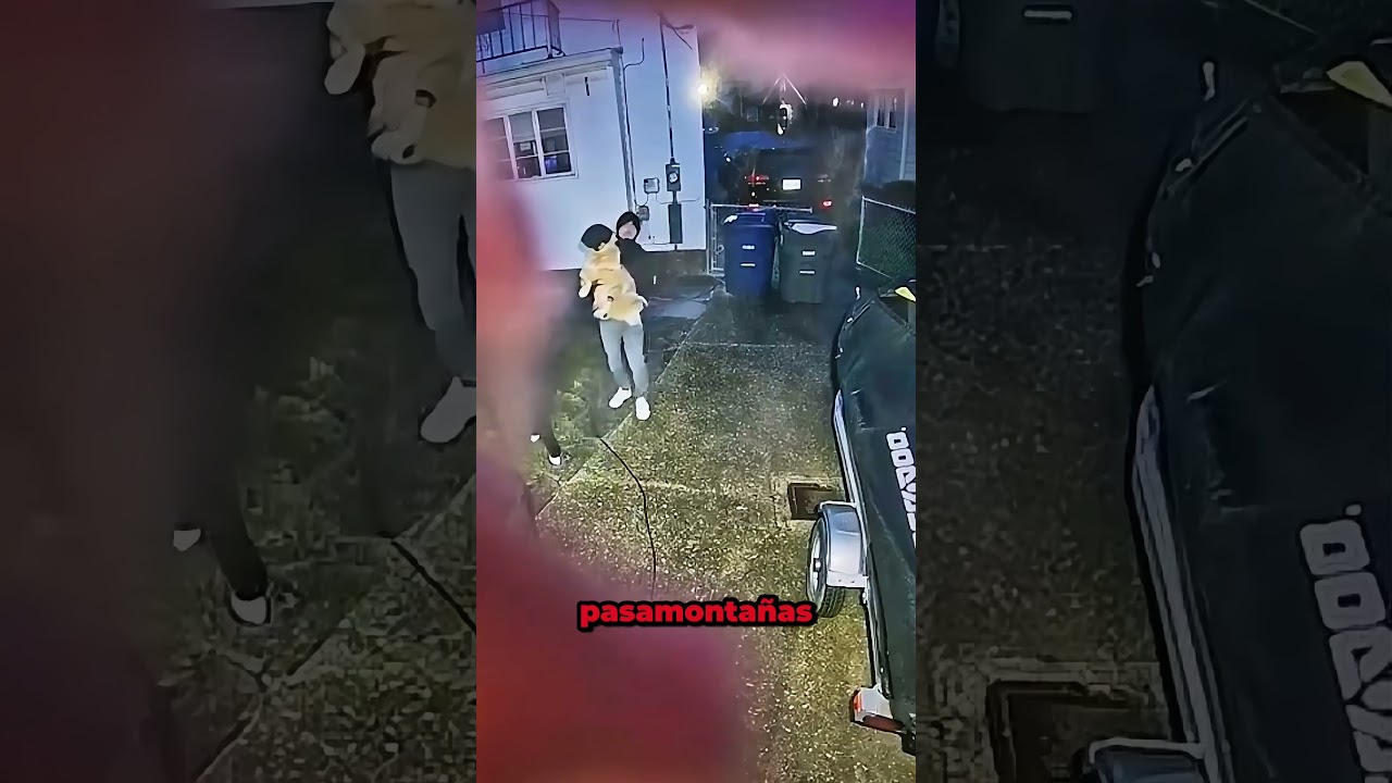 Esta broma al perro fue demasiado lejos #funny #dog #shorts