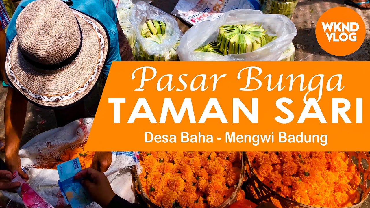 JALAN MELALI KE PEKEN - PASAR BUNGA TAMAN SARI , DESA BAHA MENGWI