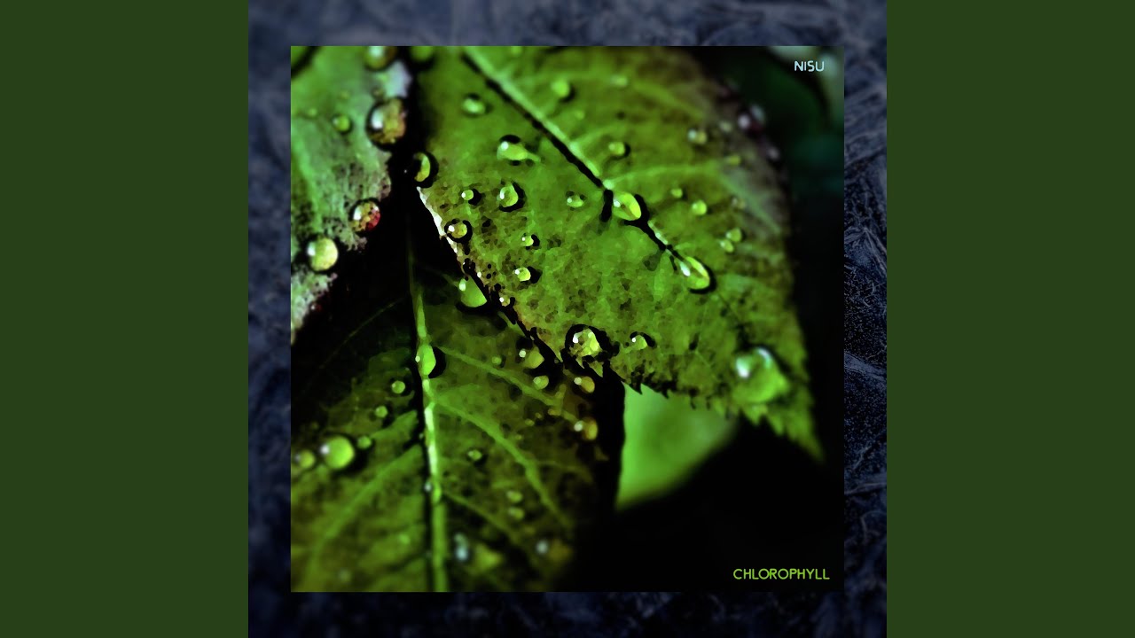 Watch Chlorophyll on YouTube Watch Chlorophyll on YouTube