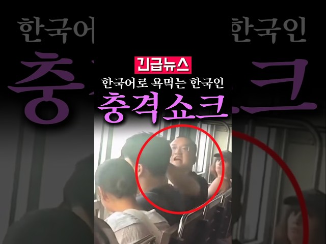 (속보) 한국서 한국인에게 한국어로 욕하는 외국인...충격
