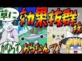 【ポケモンUSUM】魔理沙が作る ! ! 草最強伝説【ゆっくり実況】＃６