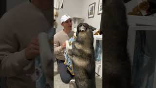 I Cant Believe The Tv Still Works