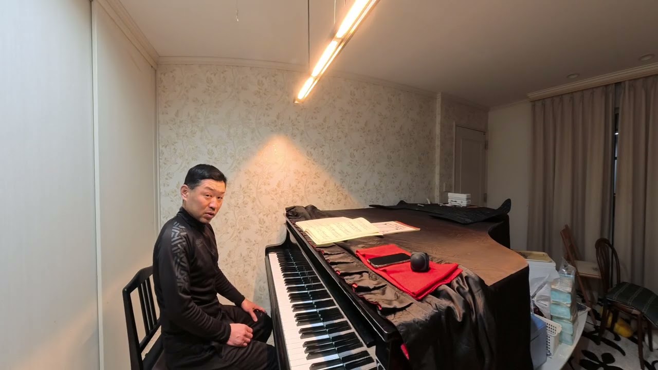 ⭐️⭐️最初から通しアルペジオで変更後半ミスだらけVID 20260226 191756 10 010