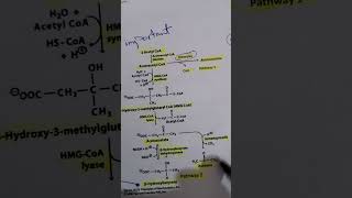 steps of ketogenesis  /شرح خطوات تكوين أجسام كيتونية بطريقة سريعة و بسيطة