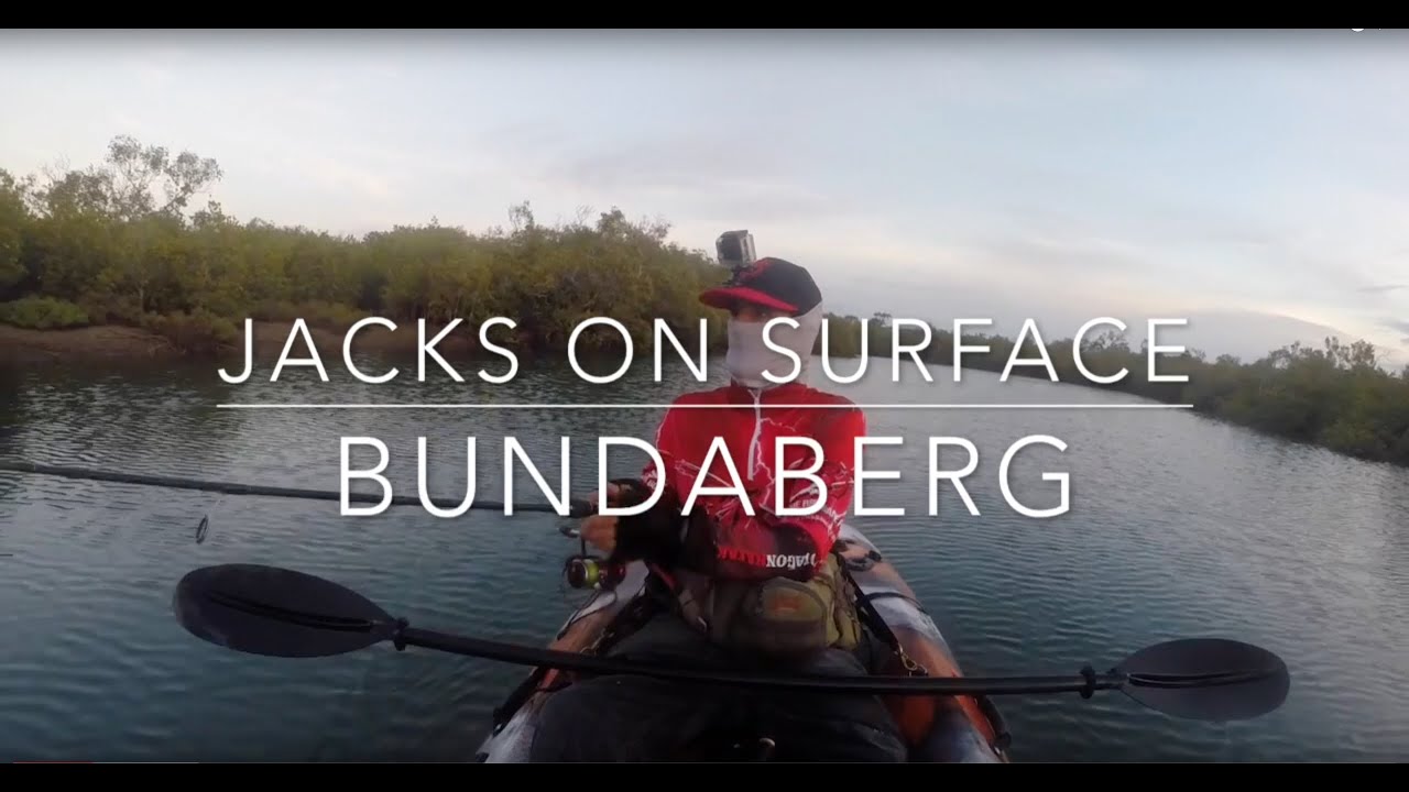 Mangrove Jacks On Surface! Bundaberg Fishing On Dragon Kayak YouTube