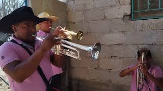 por primera vez el trompetista alegre oficial en Santo Domingo Tonahuixtla Puebla