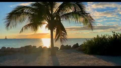 Du Lịch Hà Lan - Đất Nước Có Cảnh Đẹp Thiên Nhiên Bậc Nhất Thế Giới - Flycam 4k .