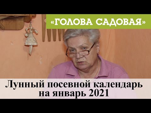 Голова садовая - Лунный посевной календарь на январь 2021