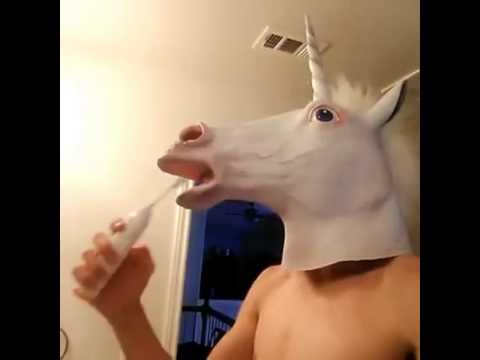 just-brushing-my-teeth-(funny-vine)-vine-horse