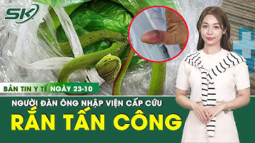 Bản Tin Y Tế 23/10: Người đàn ông bị rắn lục đuôi đỏ tấn công khi đi vệ sinh  | SKĐS