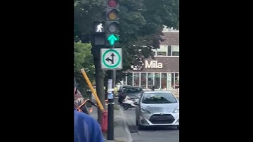 Alex Boya & MILA | Crossing Paths Between Animation and AI Research