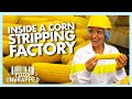 Inside a Factory that Perfectly Strips Sweetcorn | Food Unwrapped