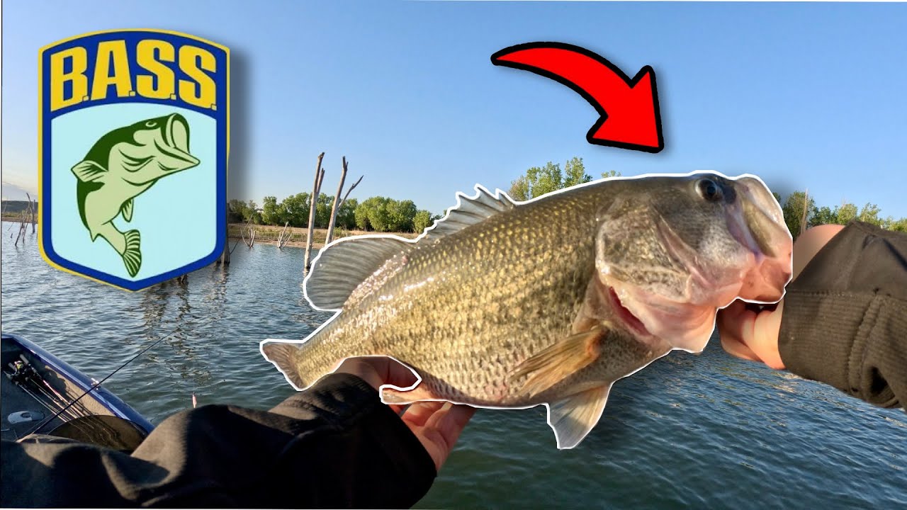 First-Ever Bass Fishing Tournament… and I Hooked a Monster!
