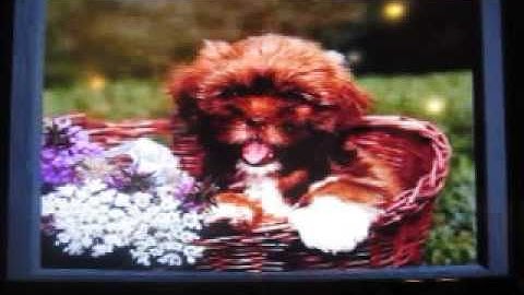 Jeopardy! Playstation Run Game 3: Part 2