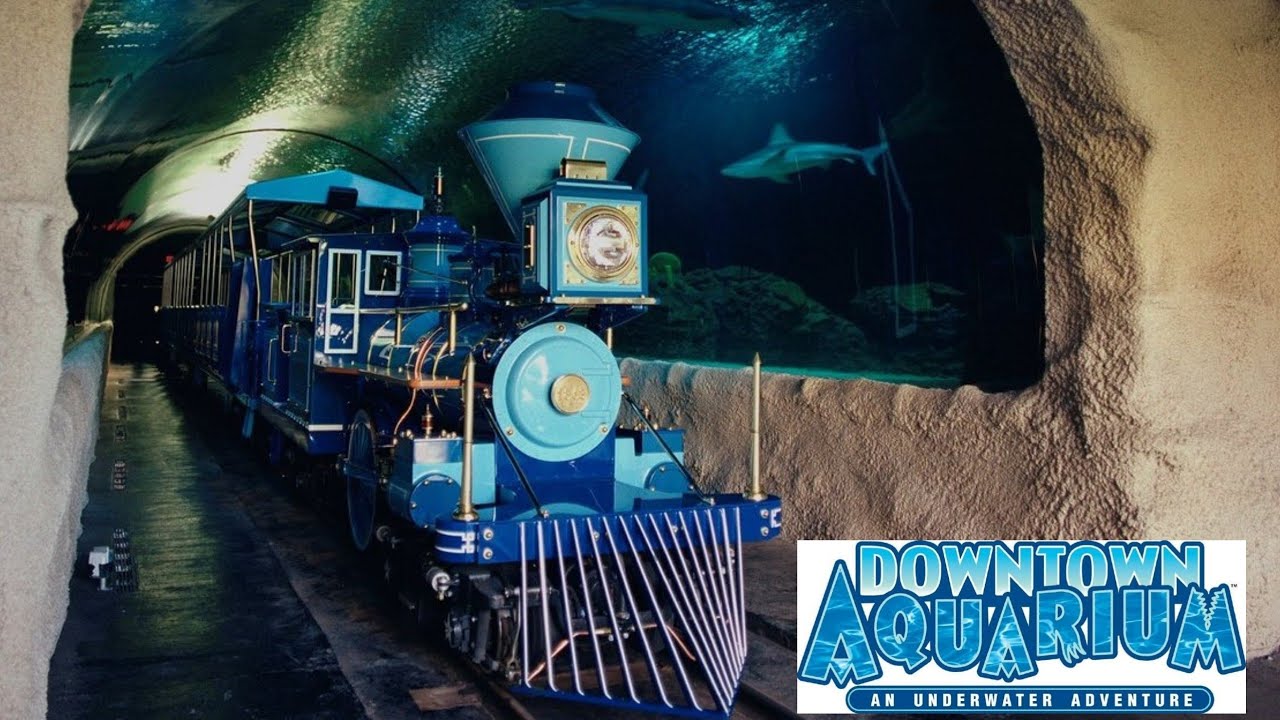Shark Advanture Train Ride At Houston Downtown Aquarium_Dec_2019 YouTube