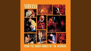 Smells Like Teen Spirit (Live In Del Mar, California/1991)