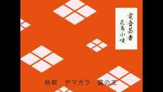 電音芸者 / 花鳥小唄 / 和風テクノポップオリジナル曲 / VOCALOID / 巡音ルカ