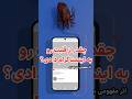 چقدر از قلبت رو به اینستاگرام دادی اثر مفهومی سه بعدی قلب اینستاگرام