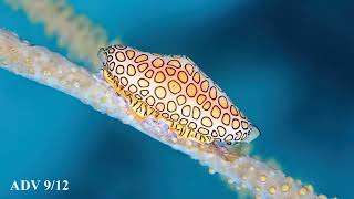 Photo Contest Slideshow 2023 - 8 August