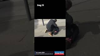 Dag 15 Overfaldet Mens Jeg Stod Tavs Og Stille På Dortheavej I København Nv 687 Vælgererklæringer