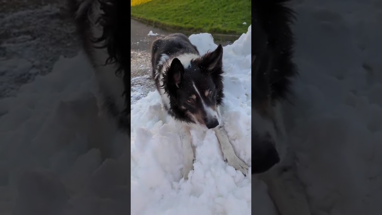 Snow boi 3/1/26