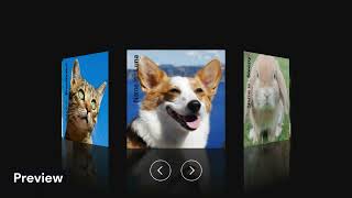 Detailed 3D Image Gallery in HTML CSS & Javascript Information