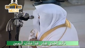 تلاوة خاشعة لسورة السردين ( فيديو كليب )