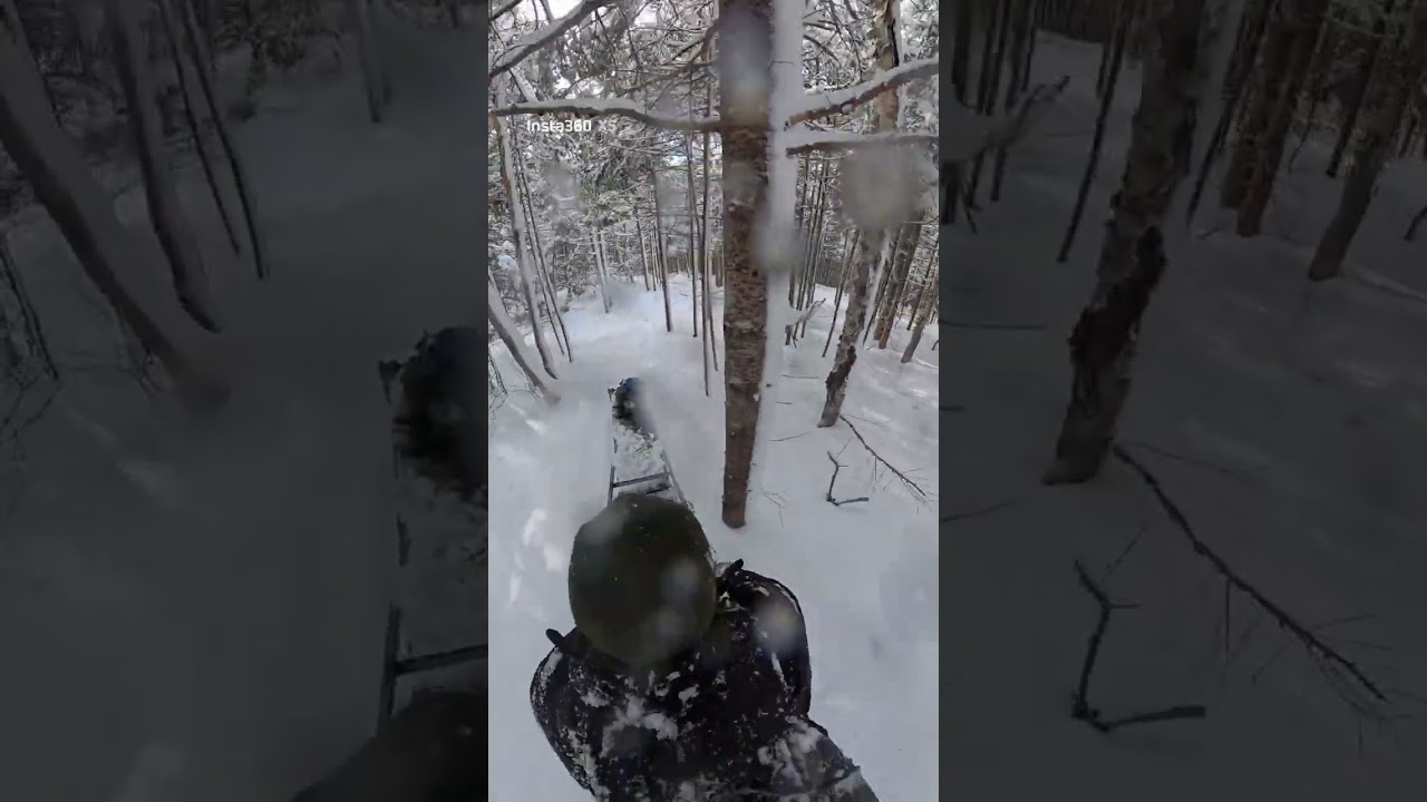 The Forge vs. The Buried New Brunswick Forest 🌲❄️