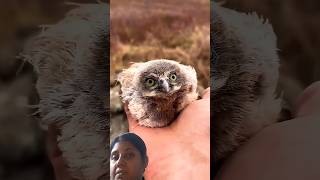 #trending#viral#YouTube shorts#shorts