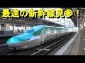 東北新幹線E5系E6系はやぶさ、E3系つばさ、E2系やまびこ高速通過