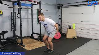 Reverse Sled Drag | Horizontal Force, Backward Drive & Posterior‑Chain Strength