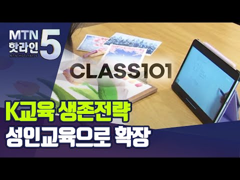 [K교육 생존전략]③학생 대신 어른 공략… 성인교육 시장 훨훨 / 머니투데이방송 (뉴스)