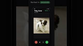 Flick - Tidy Hundreds of Photos in Minutes Flick - Tidy Hundreds of Photos in Minutes