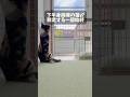 後ろ足が不自由な猫が脱走する一部始終 / The moment a disabled cat escapes #shorts #脱走の瞬間 #下半身麻痺猫